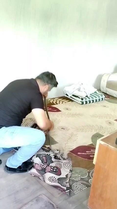 Hatay'da 'Yılancı Kemal' olarak bilinen Kemal Başer, Payas'ta bir konteynere