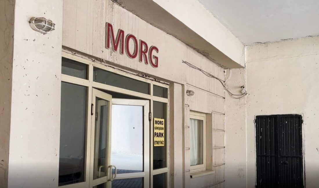 Şanlıurfa'nın Siverek ilçesinde 1,5 yaşındaki Ahsen Kış, evinin önünde oyun