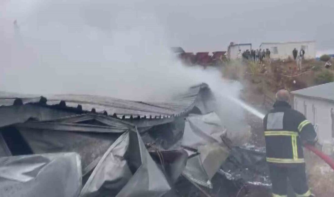 Antakya’daki işçi konteyner yatakhanesi, çıkan yangında tamamen yanarak kullanılamaz duruma geldi. Hatay'ın Antakya ilçesindeki bir işçi yatakhanesinde çıkan yangın, konteyneri tamamen