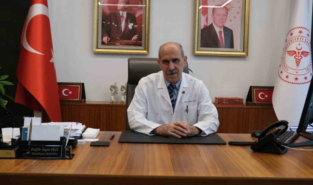 Çam Sakura Şehir Hastanesi Başhekimi Prof. Dr. Özgür Yiğit, Türkiye'de