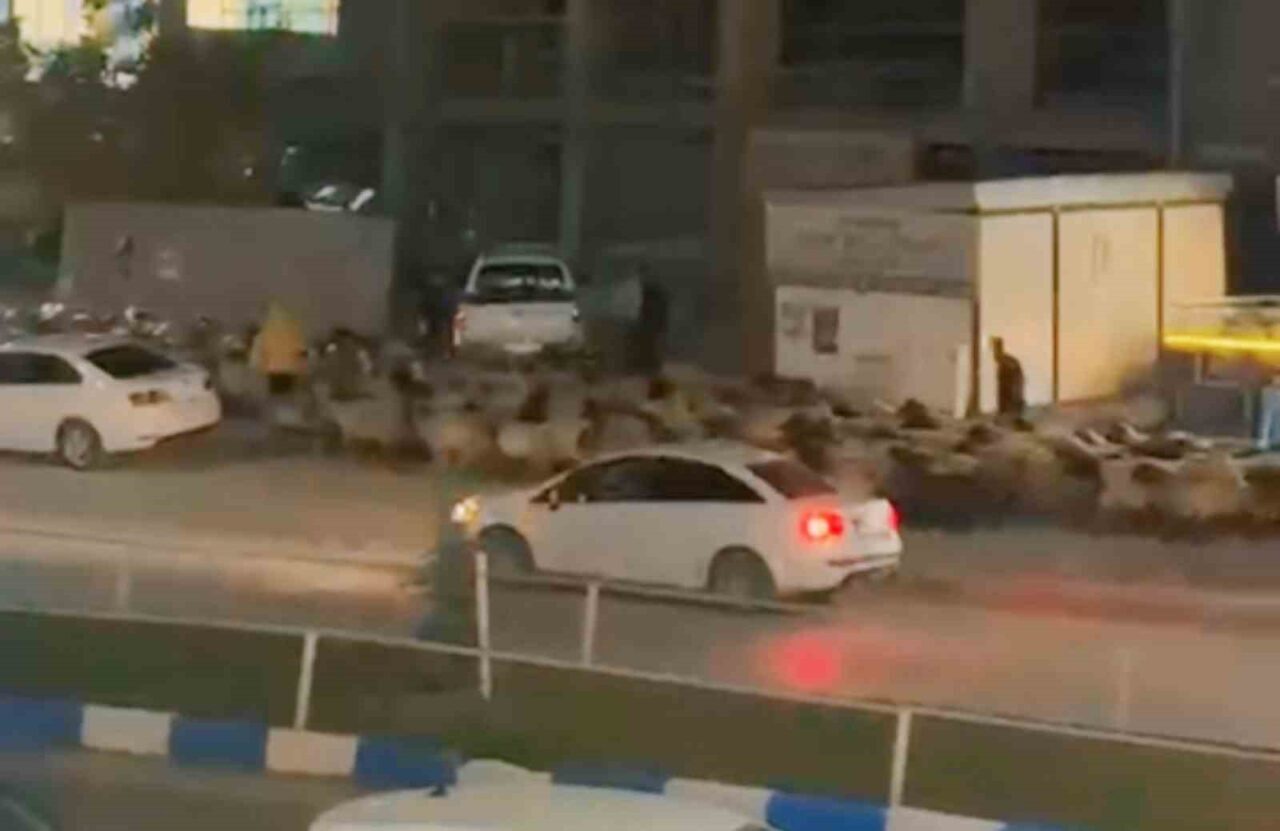 Hakkari'nin Yüksekova ilçesinde, İpekyolu Caddesi'nde koyun sürüsünün geçişi gözleri kamaştırdı.