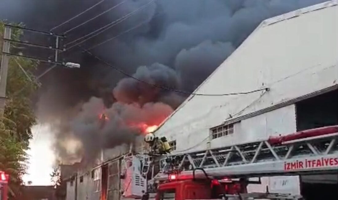 İzmir'in Bornova ilçesindeki bir fabrikanın depolarında çıkan yangına itfaiye ekipleri