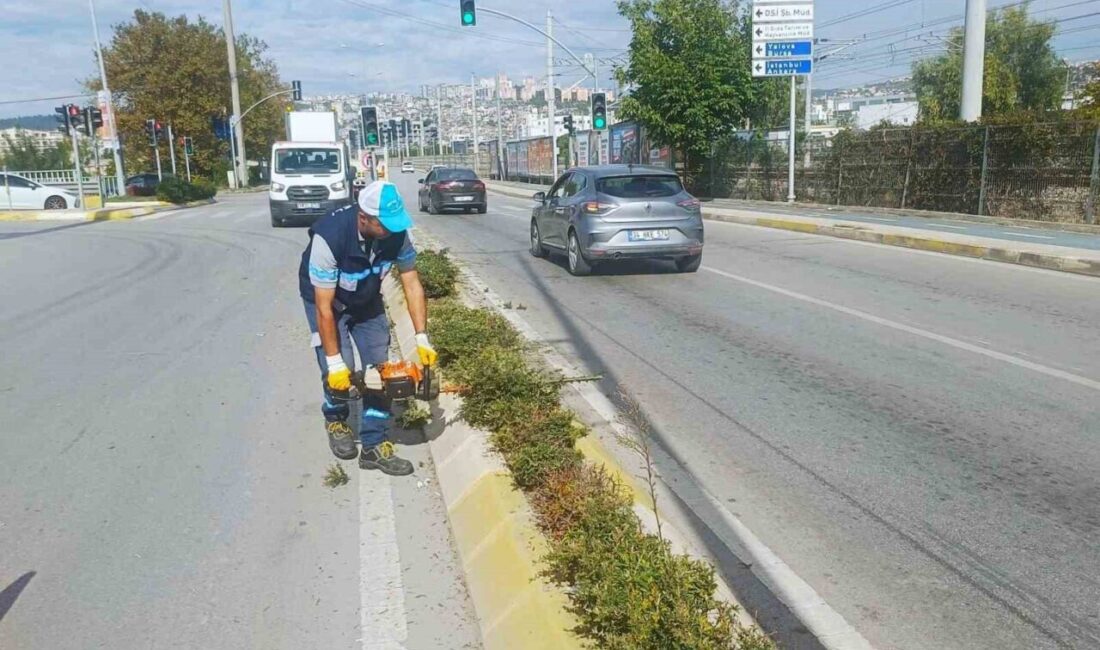 İzmit’te Tırpan ve Budama Çalışmalarıyla Çevre Güvenliği Artırılıyor Kocaeli'nin İzmit ilçesinde, Büyükşehir Belediyesi Park ve Bahçeler Dairesi ekipleri,