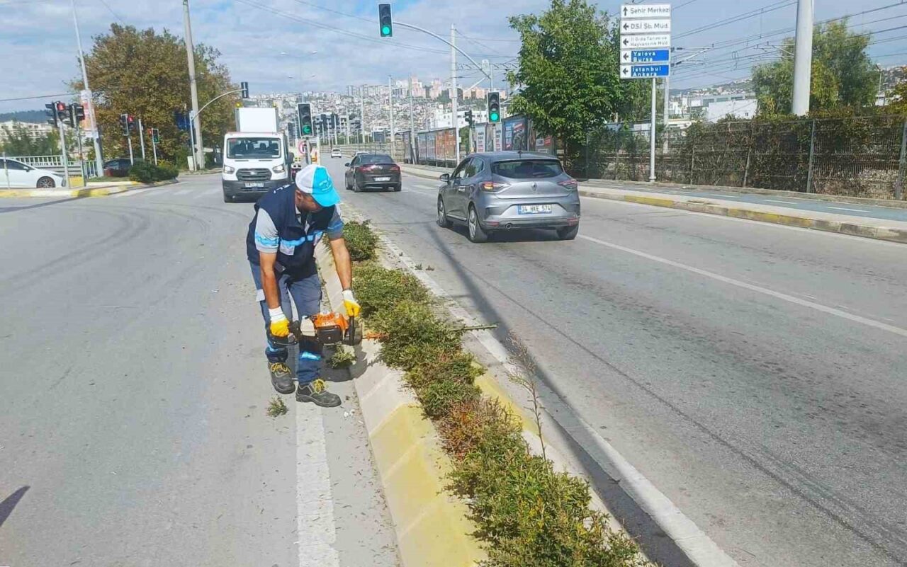 Kocaeli'nin İzmit ilçesinde, Büyükşehir Belediyesi Park ve Bahçeler Dairesi ekipleri,