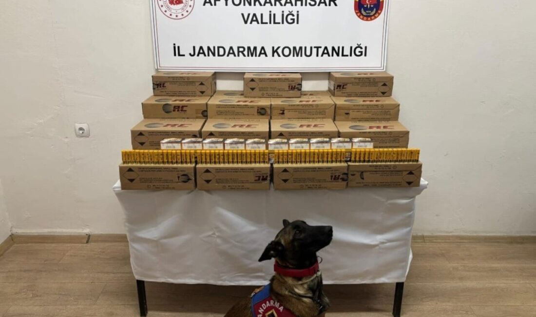 Afyonkarahisar'da jandarma, İzmir'den Konya'ya giden bir yolcu otobüsünde 10 bin