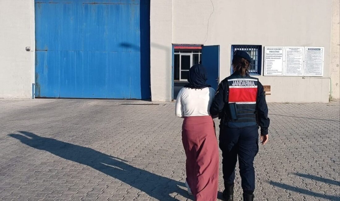 Afyonkarahisar'da jandarma ekipleri, son bir hafta içinde gerçekleştirdikleri denetimlerde çeşitli