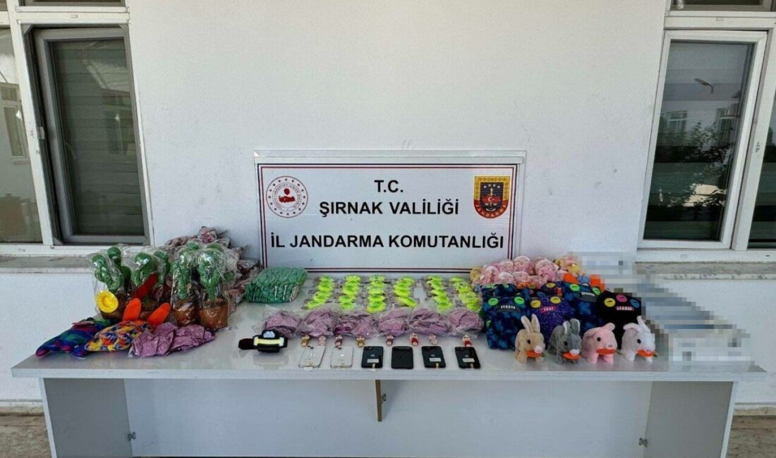 Şırnak'ta Jandarma ekipleri, 29 Eylül-5 Ekim tarihleri arasında düzenlediği operasyonlarda