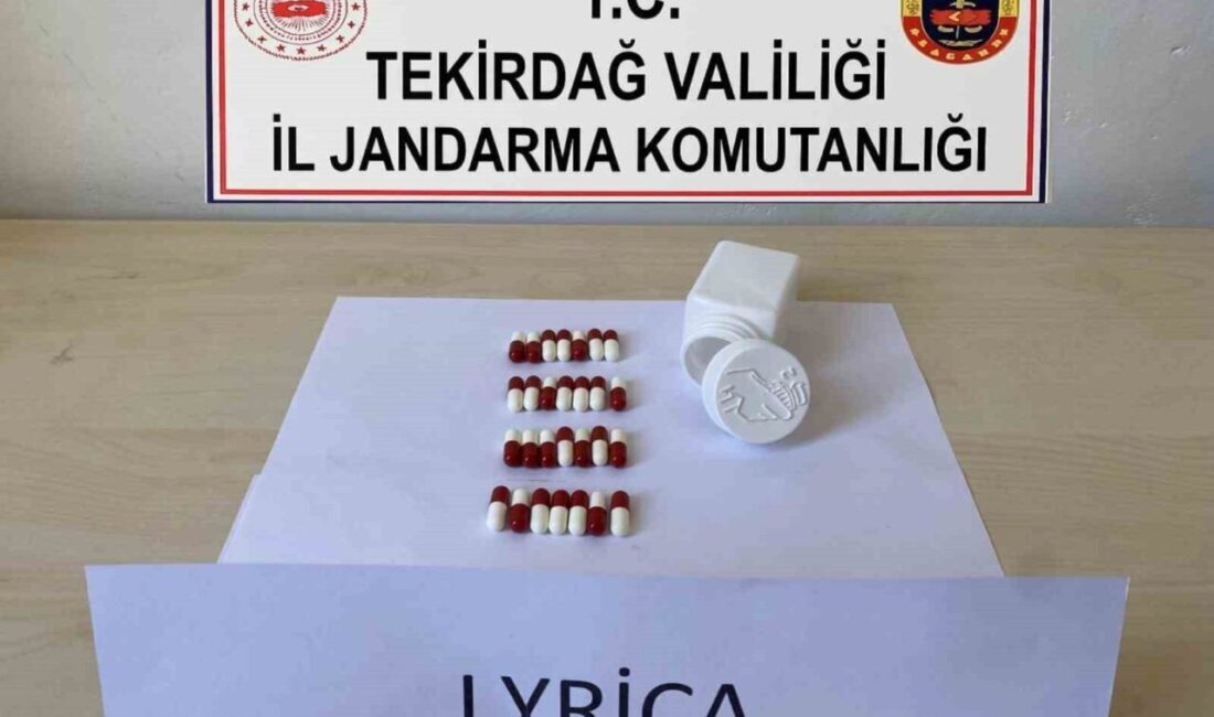 Tekirdağ'ın Malkara ilçesinde jandarma, Kadıköy Mahallesi'nde yaptığı yol kontrolü sırasında
