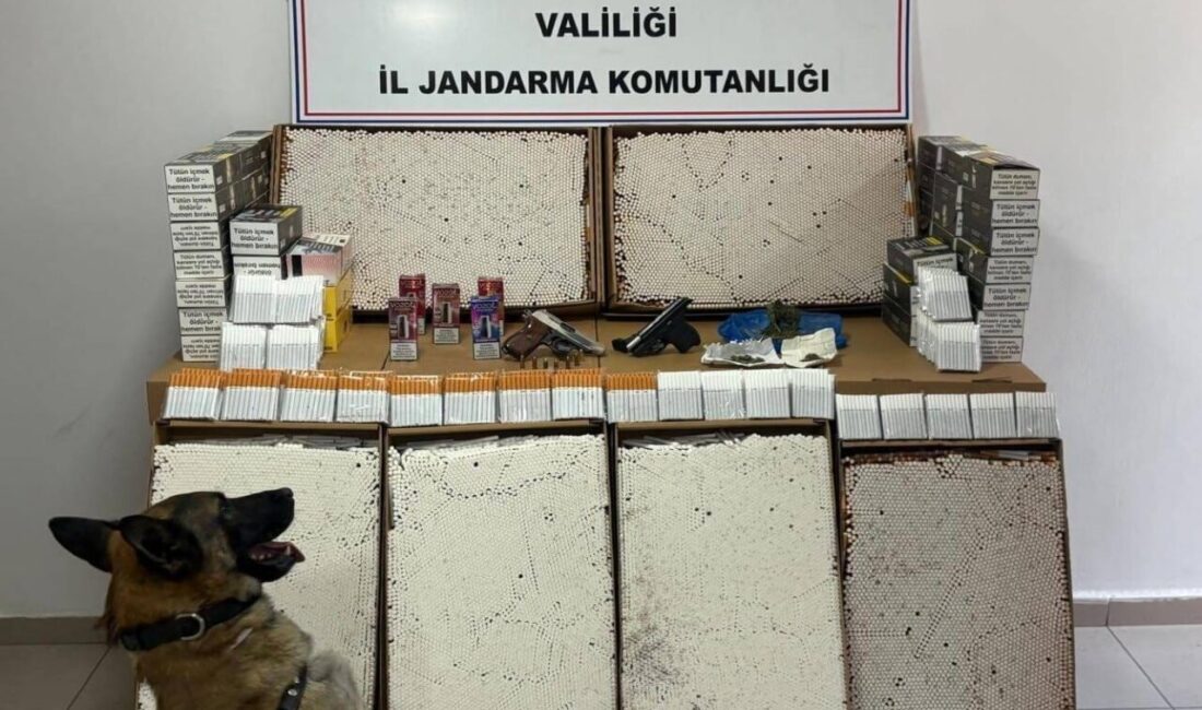 Afyonkarahisar'da jandarma, yaptığı baskınlarda 18 gram esrar, 73 bin doldurulmuş