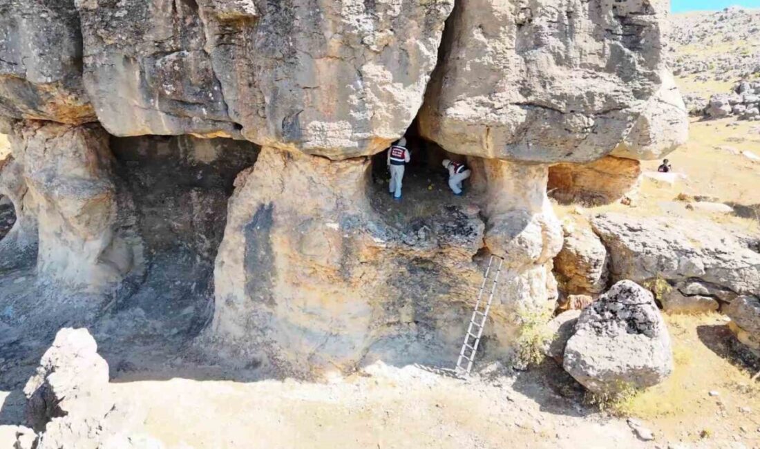 Diyarbakır’ın Çermik ilçesinde 10 yıl önce işlenen kadın cinayetinin faili