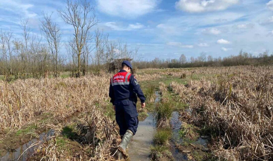 Sakarya’da Yasadışı Avcılığa Karşı Operasyon: 6 Güme İmha Edildi Sakarya’nın Acarlar Longozu’nda yasadışı avlanma amacıyla kullanılan 6 avcı gümesi,