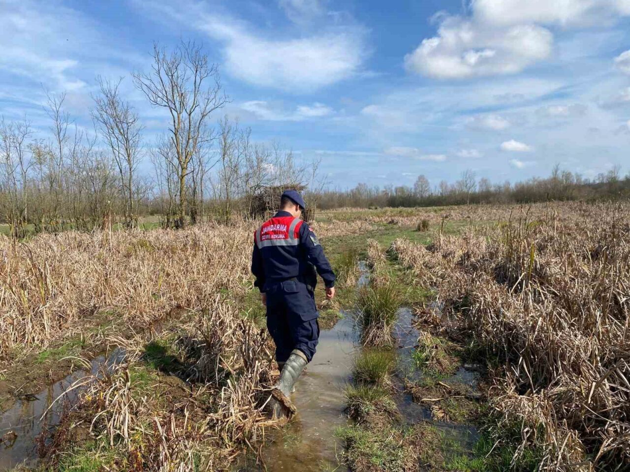 Sakarya’nın Acarlar Longozu’nda yasadışı avlanma amacıyla kullanılan 6 avcı gümesi,