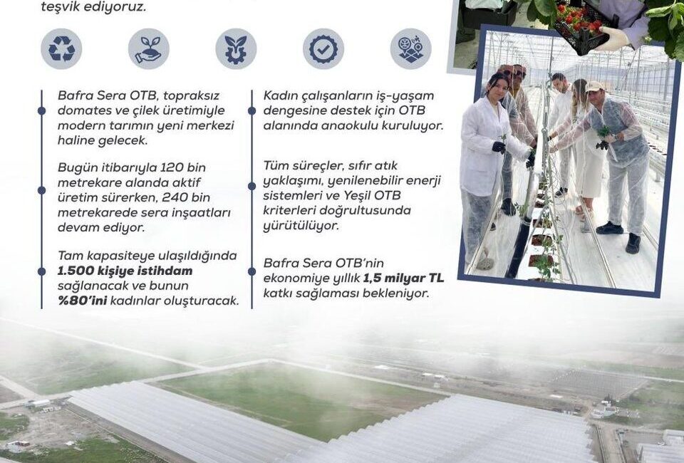 Bafra Sera Organize Tarım Bölgesi Projesi, Kadın İstihdamını Destekleyerek Ekonomiye 1,5 Milyar Lira Katkı Sağlayacak Tarım ve Orman Bakanlığı, Bafra Sera Organize Tarım Bölgesi projesini