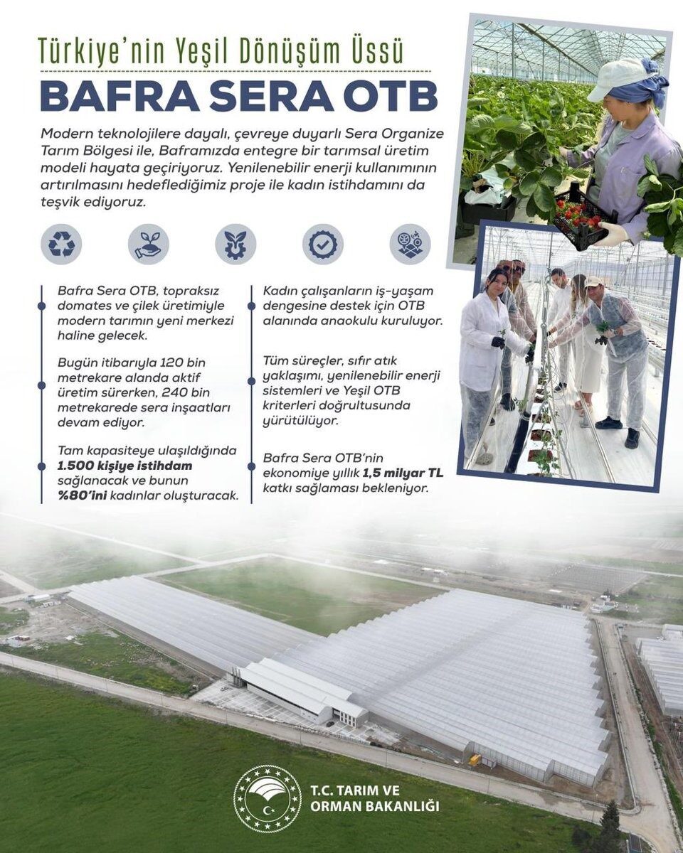 Tarım ve Orman Bakanlığı, Bafra Sera Organize Tarım Bölgesi projesini