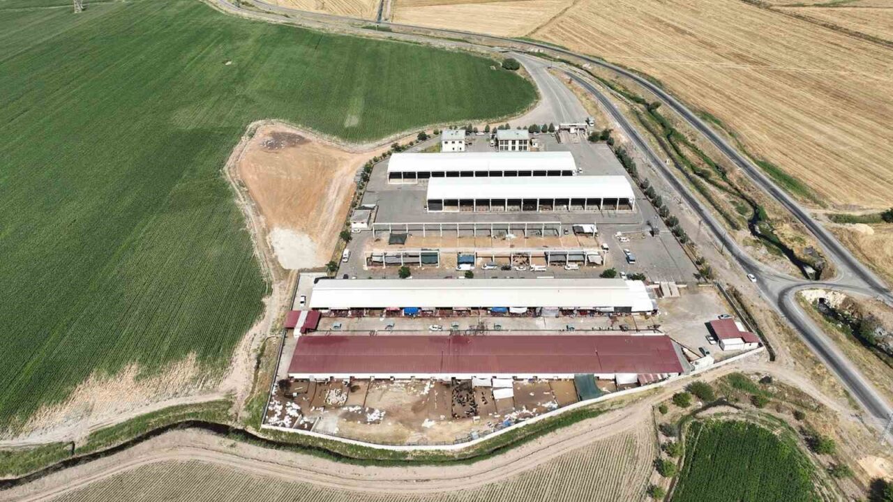 Kahramanmaraş Büyükşehir Belediyesi, şap hastalığı nedeniyle 2 Temmuz 2025'te kapatılan