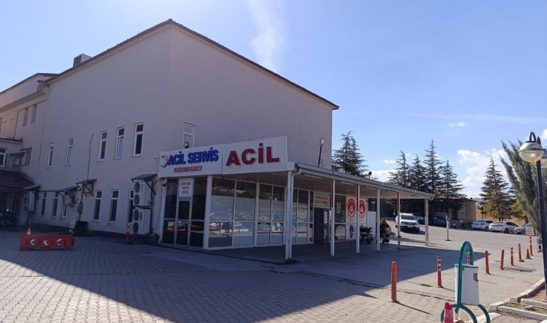 Kahramanmaraş'ın Afşin ilçesinde, 9 yaşındaki Nisa Nur Gökçe, oyun oynarken