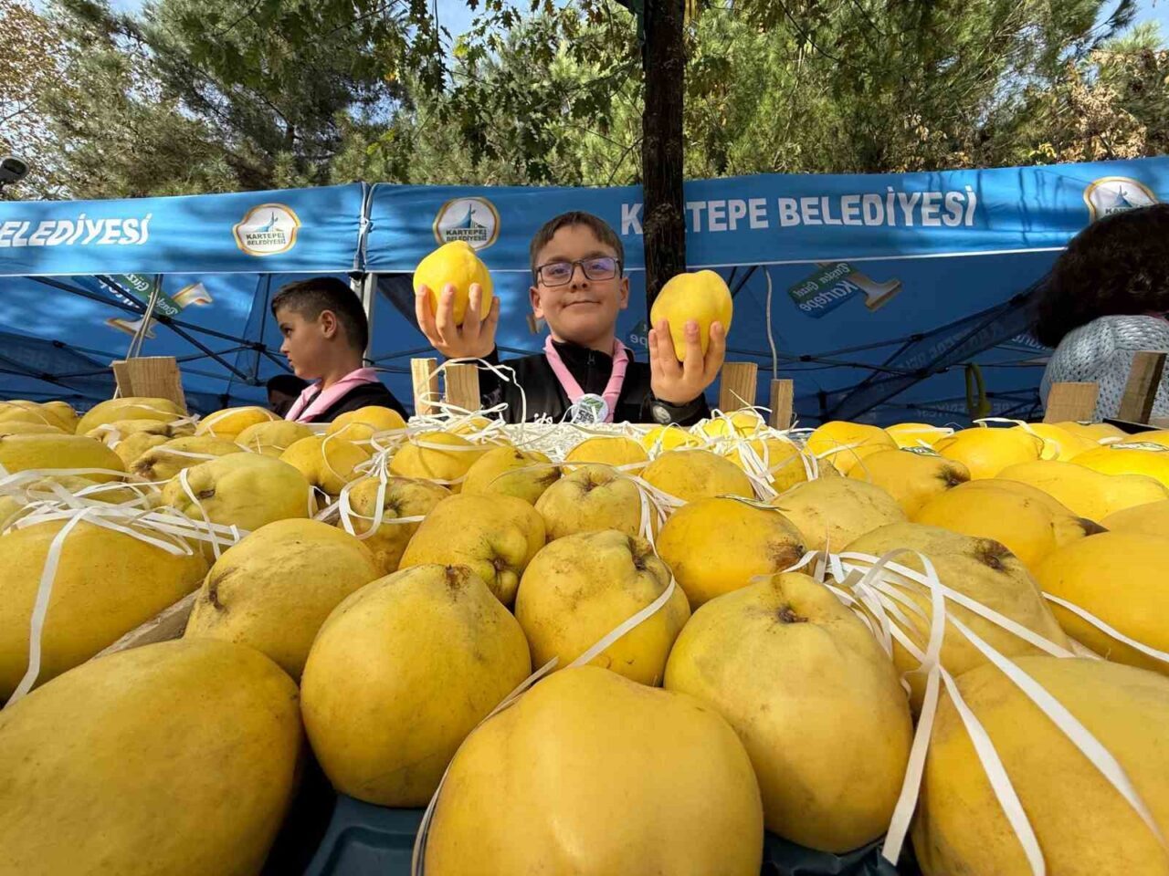 Kocaeli Kartepe'deki Eşme Ayva Festivali, yüksek kaliteli Eşme ayvasını tanıtmak