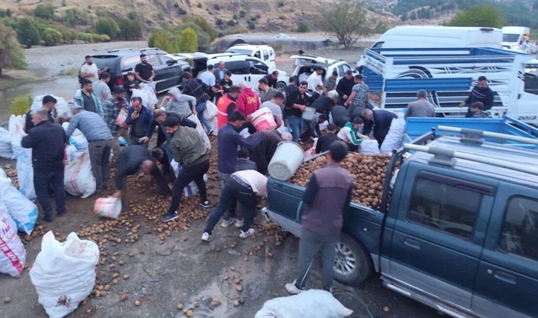 Siirt'in Baykan ilçesinde bir kamyonet arızalanınca, sürücü hasar gören patatesleri