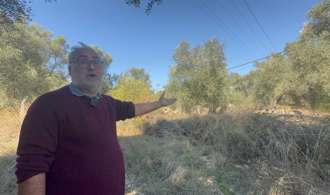 Marmaris’teki Tarihi Sarnıç ve Zeytin Ağaçları Koruma Altına Alınmayı Bekliyor Muğla'nın Marmaris ilçesinde, Kanuni Sultan Süleyman dönemine ait tarihi sarnıç,