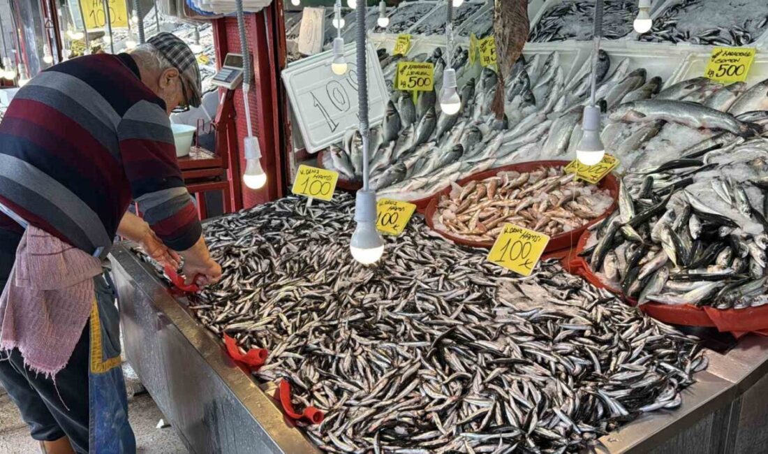 Karabük’te soğuk havalarla birlikte hamsi avında artış yaşanıyor; 250 TL'den