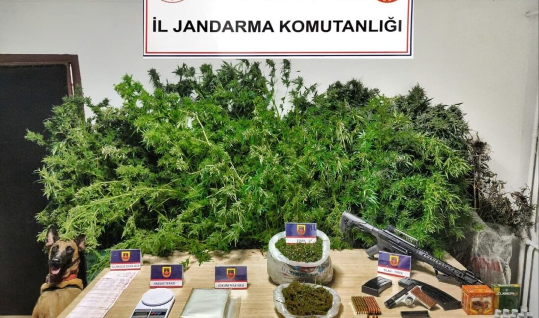 Karabük İl Jandarma Komutanlığı, Safranbolu'daki bir çiftlikte düzenlediği operasyonda yasa