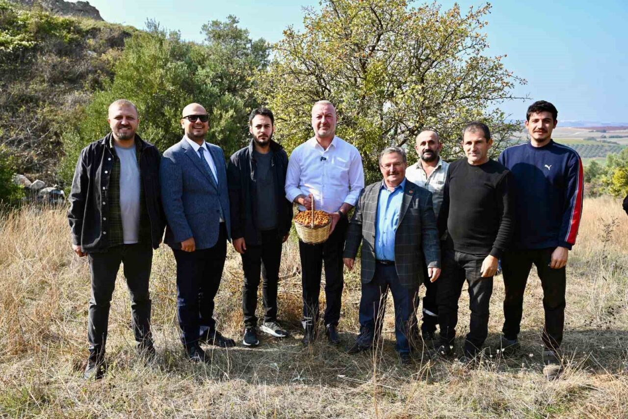 Karacabey Belediyesi, Yeşildere Mahallesi'nde yetişen alıç meyvesini markalaştırmak için projeler