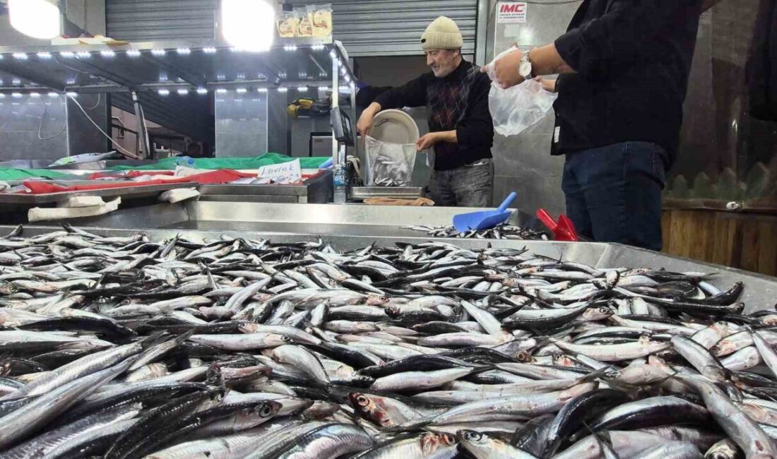 Bartın'da hamsinin bol olması, piyasalardaki fiyatların düşmesine neden oldu ve