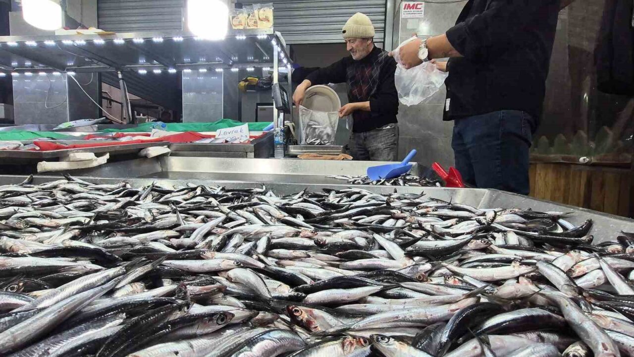 Bartın'da hamsinin bol olması, piyasalardaki fiyatların düşmesine neden oldu ve