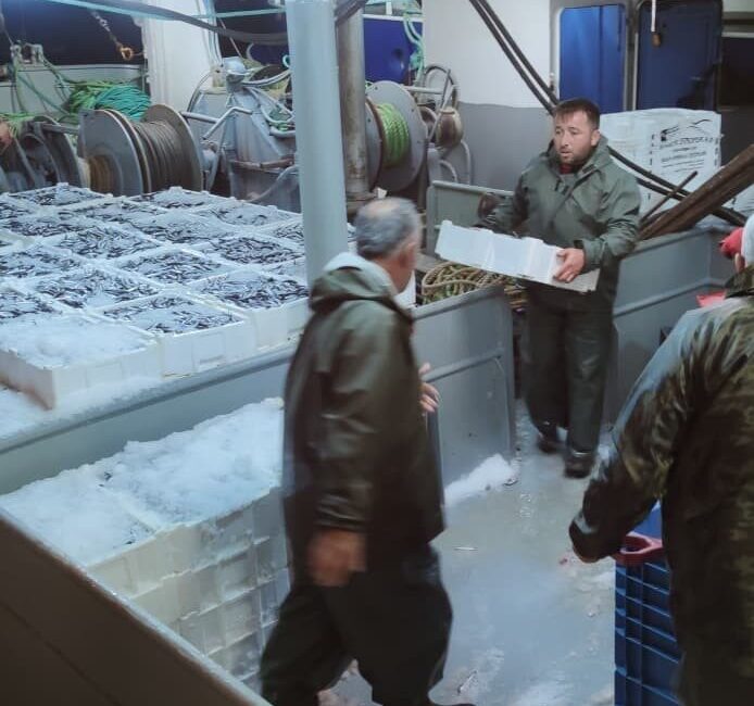 Kastamonu’da 440 Ton Hamsi Balıkçılar Tarafından Karaya Çıkarıldı Kastamonu'da balıkçılar, 22 gemiyle 440 ton hamsi avladı. İnebolu İlçe