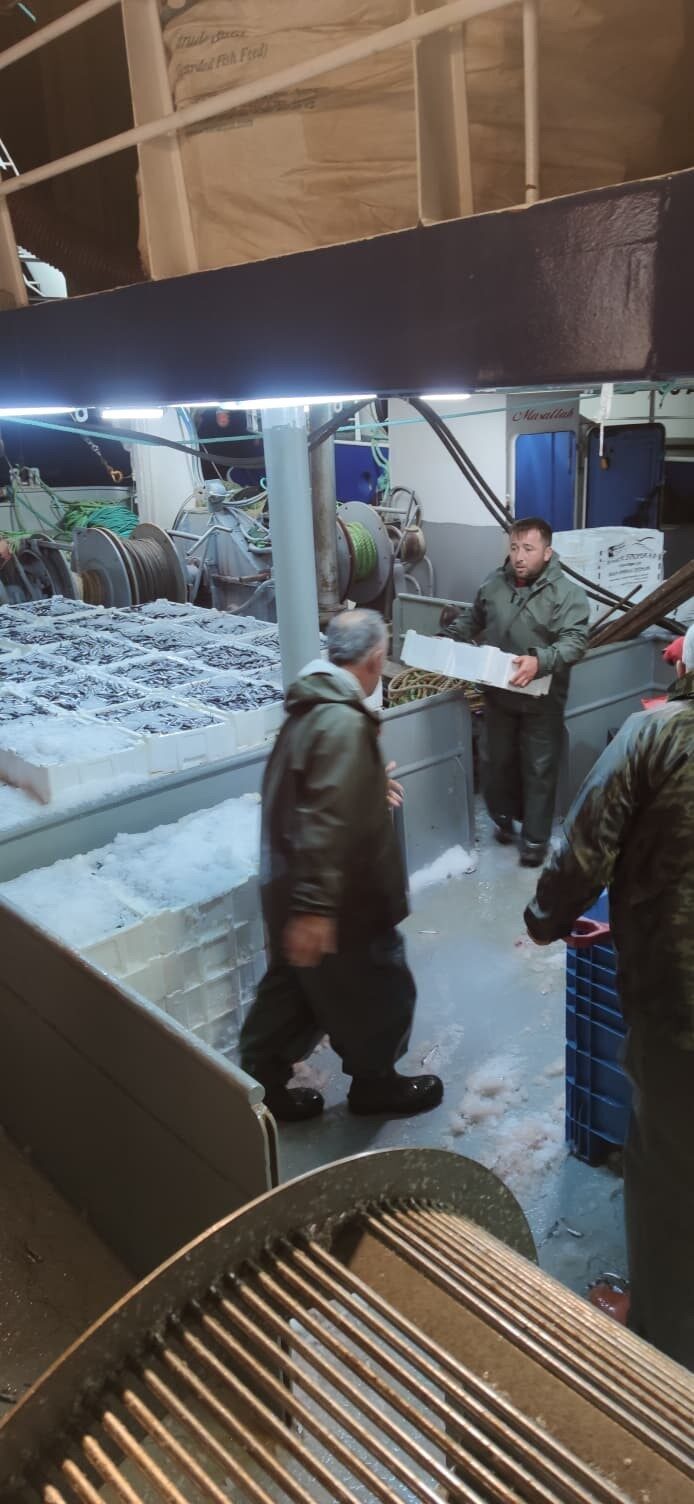 Kastamonu'da balıkçılar, 22 gemiyle 440 ton hamsi avladı. İnebolu İlçe