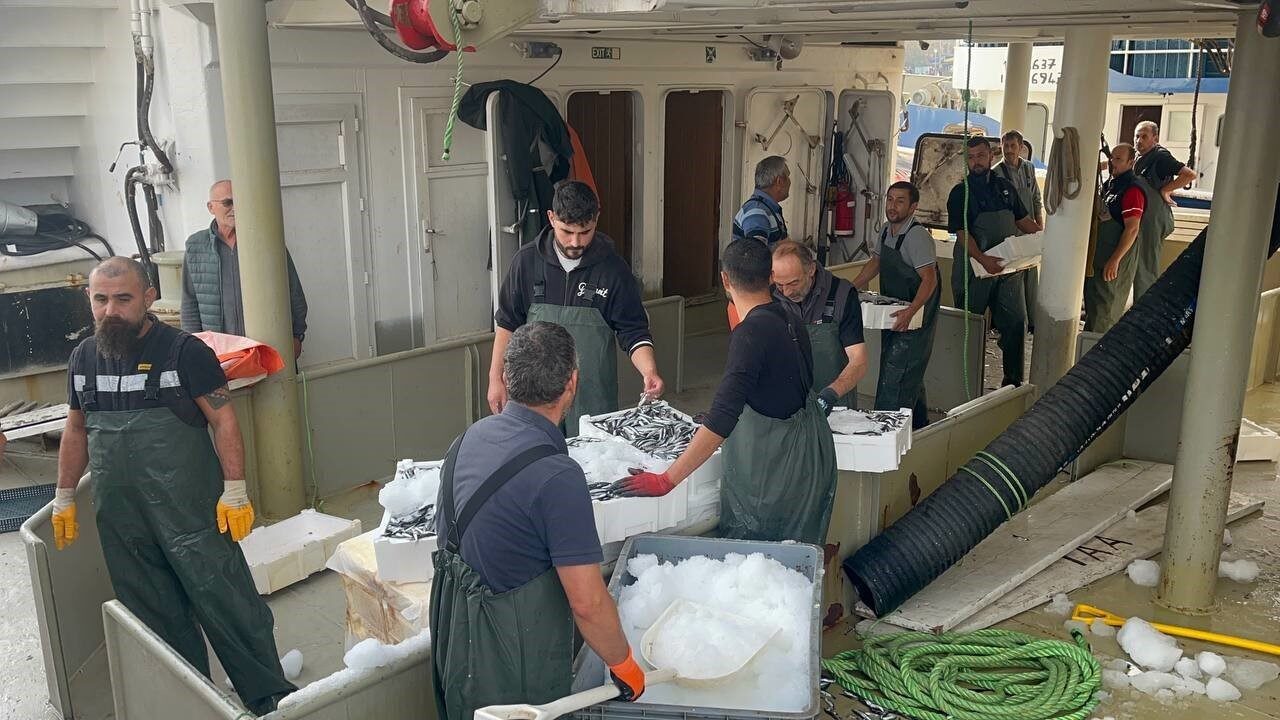 Düzce’nin Akçakoca ilçesinde balıkçılar, Karadeniz'den bol miktarda hamsi ile döndü.