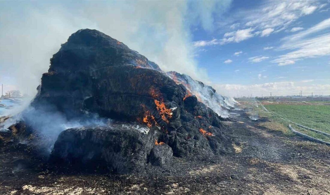 Karaman'da Piri Reis Mahallesi'nde meydana gelen yangında, 300 ton saman