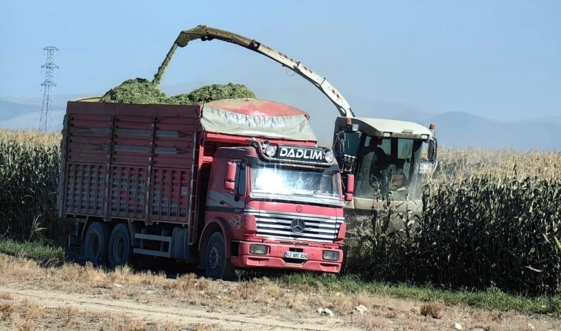 Karapınar'da mısır hasadı erken başladı; nem oranı yüzde 30-35 seviyelerinde.