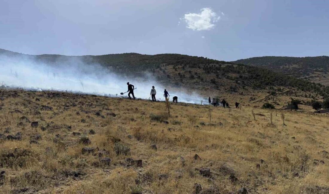 Konya'nın Karapınar ilçesindeki Yeşilyurt Mahallesi'nde başlayan ot yangını, üç çocuğun