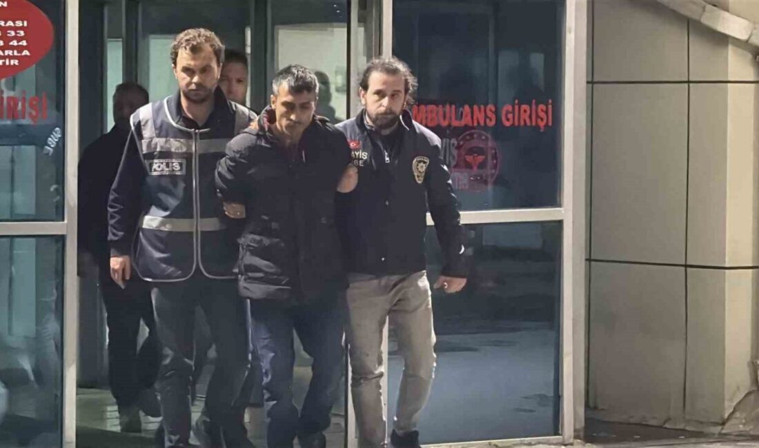 Sivas'ta, Umutcan (22) ve milli sporcu Melisa Şimşek (16) kardeşlerin