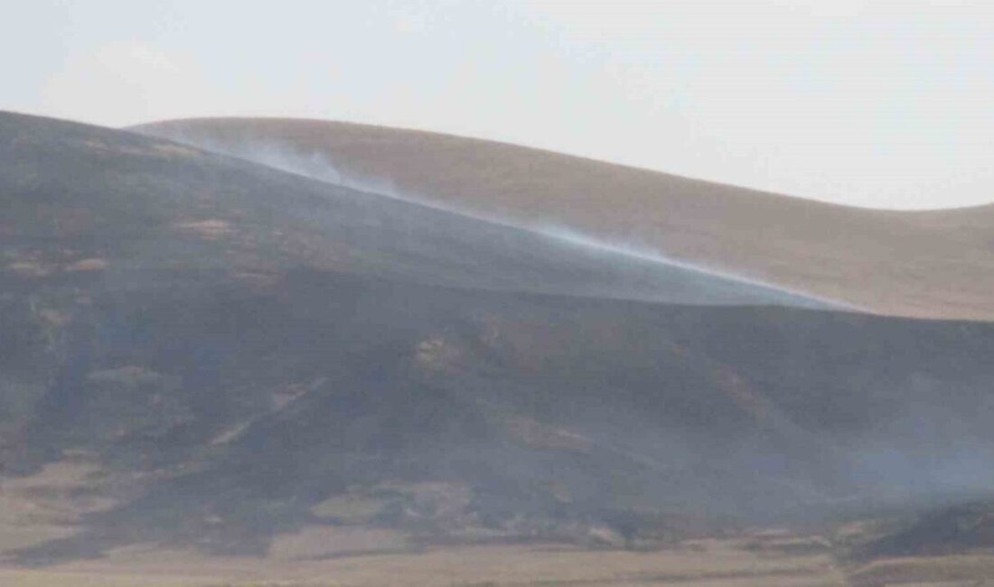 Kars'ta Akbaba Dağları'nda bilinmeyen bir nedenle çıkan anız yangını, rüzgarın