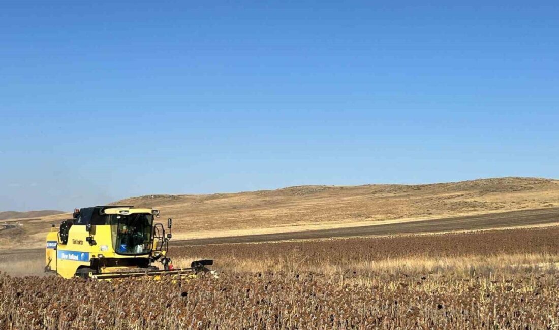 Kars’ta, Tarım ve Orman Bakanlığı'nın desteklediği TAKE Projesi çerçevesinde Selim