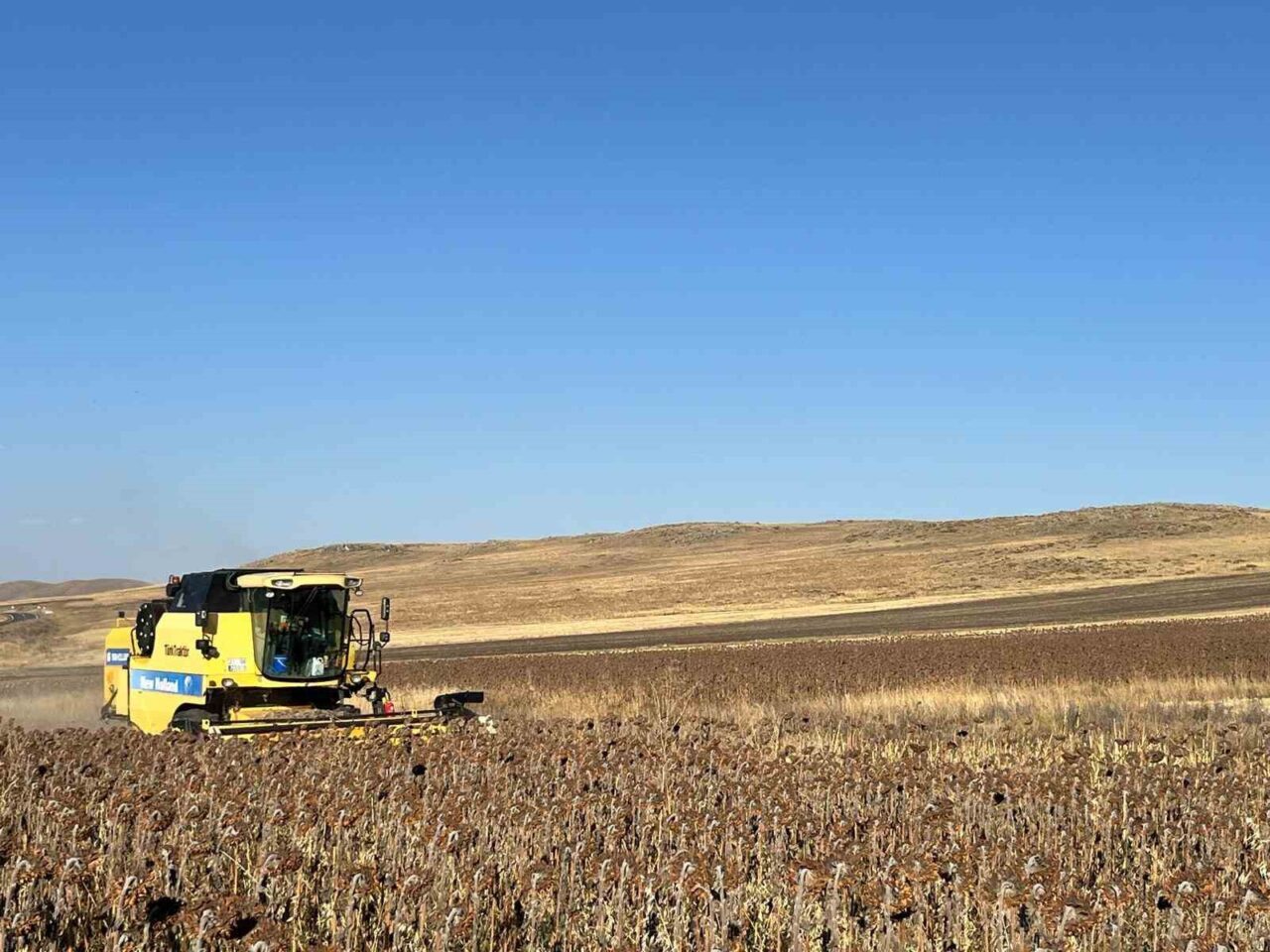 Kars’ta, Tarım ve Orman Bakanlığı'nın desteklediği TAKE Projesi çerçevesinde Selim