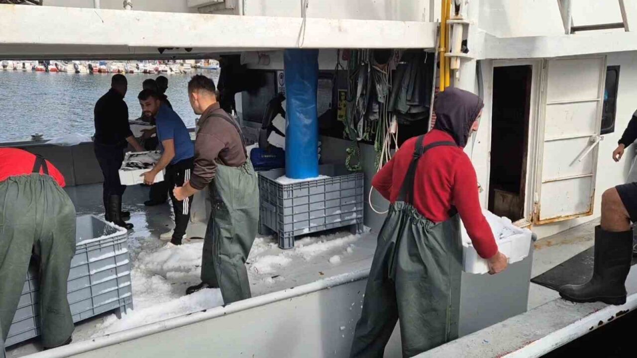 Tekirdağ’ın Süleymanpaşa limanına dönen balıkçı tekneleri, avladıkları istavritlerle dolu kasalarla