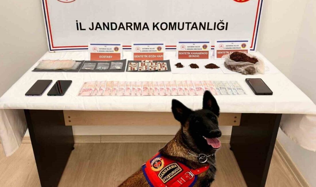 Kastamonu'nun Tosya ilçesinde jandarma tarafından düzenlenen uyuşturucu operasyonunda N.Ü. ve
