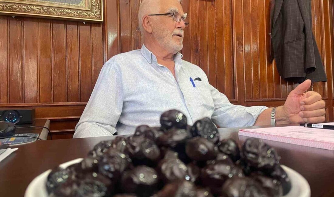 Bursa'nın Gemlik ilçesinde, Katırlı Köyü Tarımsal Kalkınma Kooperatifi, 44 yılın