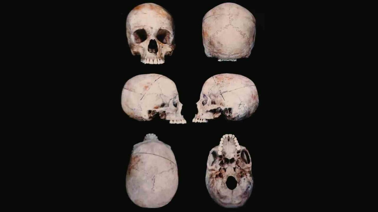 Diyarbakır'ın Çermik ilçesinde 10 yıl önce bulunan kadın cesedinin, Gülizar
