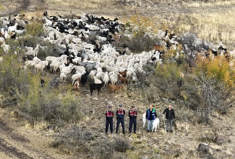 Beypazarı’nda Kaybolan 544 Küçükbaş Hayvan, Jandarma Ekiplerinin Dron Desteği ile Bulundu Ankara'nın Beypazarı ilçesinde kaybolan 544 küçükbaş hayvan, jandarma ekiplerinin hava