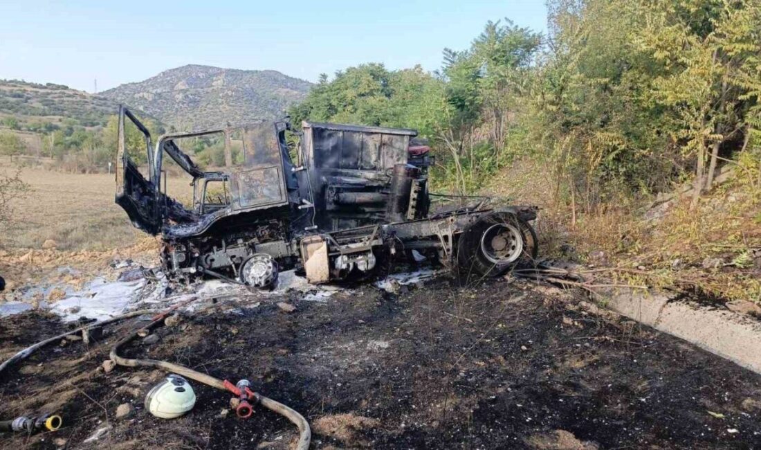 Bilecik’te Tır Kontrolden Çıktı, Alev Alarak Kül Oldu; Sürücü Yaralı Bilecik'te Osman K. yönetimindeki tır, D-650 kara yolunda kontrolden çıkarak