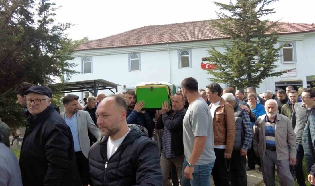 Düzce'de otobüs durağında bekleyen Sema Sevgeç, kontrolünü kaybeden hafif ticari