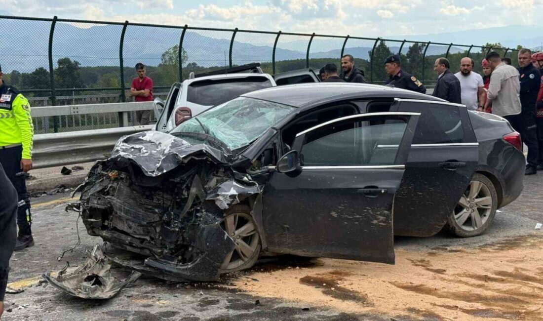Sakarya'nın Akyazı ilçesinde, Vakıf Köprüsü'nde meydana gelen kazada Jandarma Astsubay