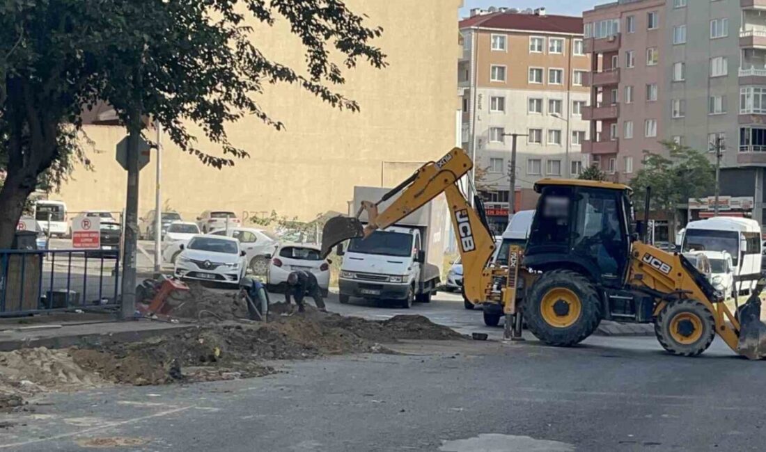 Tekirdağ'ın Çorlu ilçesinde, Şeyhsinan Mahallesi'nde elektrik hattı çekimi için yapılan