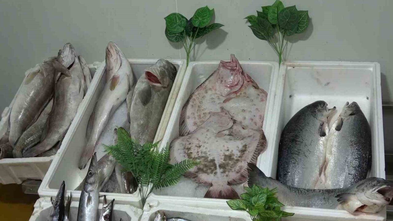 Gaziantep'te sonbahar ile birlikte balık tüketimi artarak esnafa yüz güldürdü.