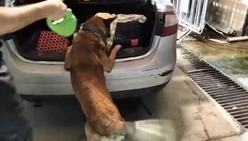 Balıkesir’in Edremit ilçesinde narkotik ekipleri, uyuşturucu madde taşındığı ihbarı üzerine