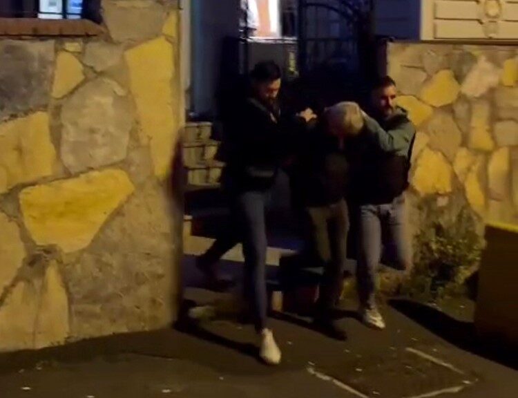 İstanbul'un Sarıyer ilçesinde bir sürücü, havlayan sokak köpeklerinden birini ezdi.